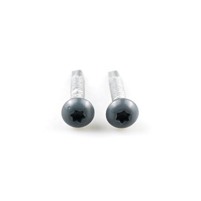 Vattone auto-perforazione 12 Vattone bimetallico con lavastoviglie Epdm Bi Metal Color Coated Torx Pan Head