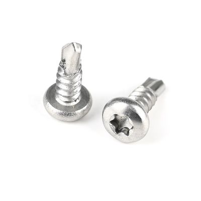 Standard in base alle esigenze dei clienti in acciaio inossidabile Torx Pan testa viti auto-perforazione