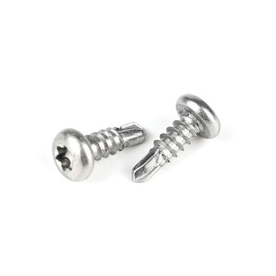 Standard in base alle esigenze dei clienti in acciaio inossidabile Torx Pan testa viti auto-perforazione
