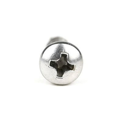 Buone fonti di materiali Phillips Drive M4.6x19mm In acciaio inossidabile per viti auto-attrezzanti
