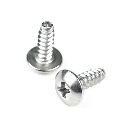 Fogli metallici a vite di 12 mm con azionamento Phillips e testa rotonda