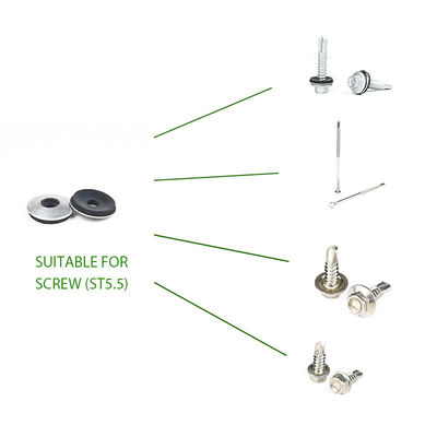 Supporto personalizzato Contatta il servizio clienti per lavatrice di gomma per tetti in acciaio inossidabile EPDM