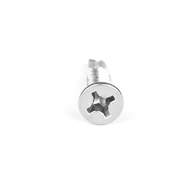 In acciaio inossidabile Phillips Flat Head Self Drilling Screws Parafuso Auto Brocante personalizzato