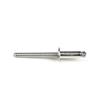 In acciaio inossidabile cupolato testa piatta rivetti ciechi a fine aperto con finitura luminosa pagamento T / T
