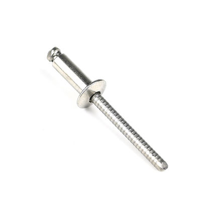 In acciaio inossidabile cupolato testa piatta rivetti ciechi a fine aperto con finitura luminosa pagamento T / T