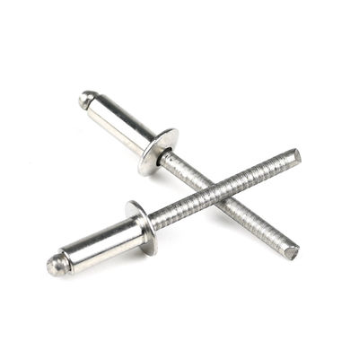 In acciaio inossidabile cupolato testa piatta rivetti ciechi a fine aperto con finitura luminosa pagamento T / T
