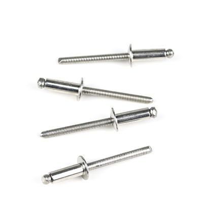 In acciaio inossidabile cupolato testa piatta rivetti ciechi a fine aperto con finitura luminosa pagamento T / T