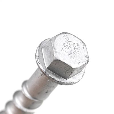 Concrete Building M10 Hex Washer Head bulloni di cemento per rinforzo sicuro da personalizzato