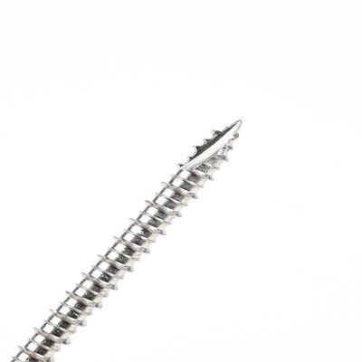 Visto in acciaio inossidabile da 60 mm, con motore a torsione e testa esessuale della lavastoviglie Phillips