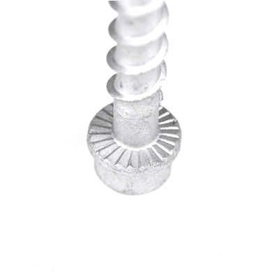 M6 75 mm di acciaio inossidabile Hex Head Anchor Bolt di cemento per la canna di filo Termine di pagamento T/T