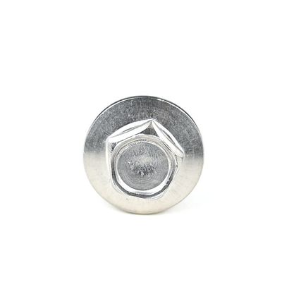 100% QC Test Wafer Head Acciaio inossidabile cinque angoli flange auto-perforazione viti di sicurezza