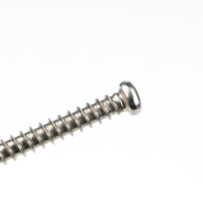 Acciaio inossidabile a trazione quadrata Pan Head Self Drilling Tapping Screws Sus410 L/C Termine di pagamento