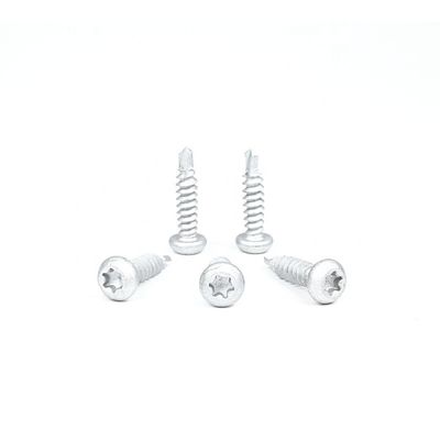 Bi-metallo acciaio inossidabile 304 Torx Pan Head viti auto-perforazione vite impermeabili