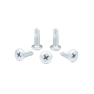 Struttura in acciaio Phillips Truss Head In acciaio inossidabile viti auto-attrezzanti