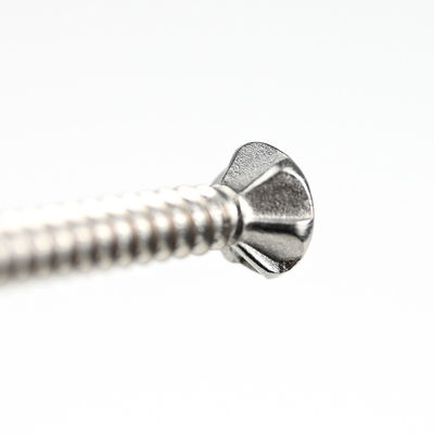 SUS410 Flat Phillips Head Self Tapping Self Drilling Screw Wing Tek Screw con puntini 4.2x38