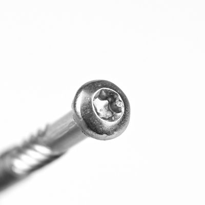 Testa di traliccio stile 316 in acciaio inossidabile Torx Pan Head Self Tapping Screw per la personalizzazione