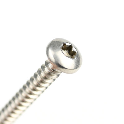 Ss304 Torx Pan Head Vattone auto-perforazione in acciaio inossidabile Parafusos Auto Brocante