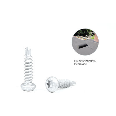 Vettura di auto-scivolamento rivestita in lega di zinco 6.3x25 per membrana di tetto e termine di pagamento T/T