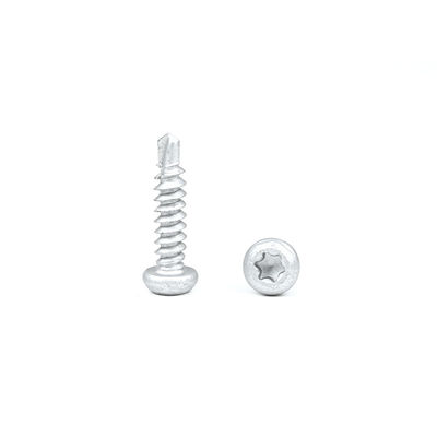 Vettura di auto-scivolamento rivestita in lega di zinco 6.3x25 per membrana di tetto e termine di pagamento T/T